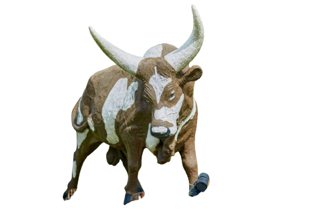 Bulls Empire Magazine Bull